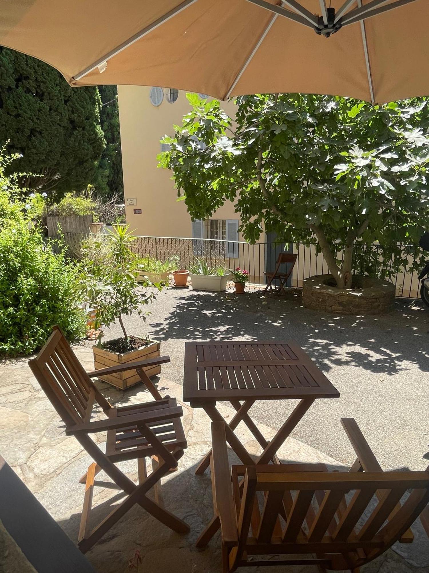 Cosy Studio - Place Du Figuier Bormes-les-Mimosas Kültér fotó